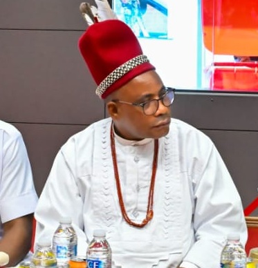 Ohanaeze UK: Stop Concealing Information, Banned Men’s Wing Ohanaeze Ndigbo UK Told.